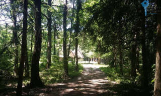 Photo N° 2