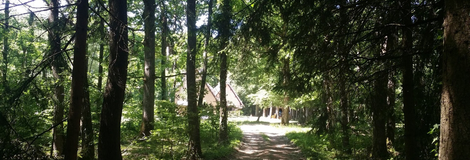 Photo N° 2