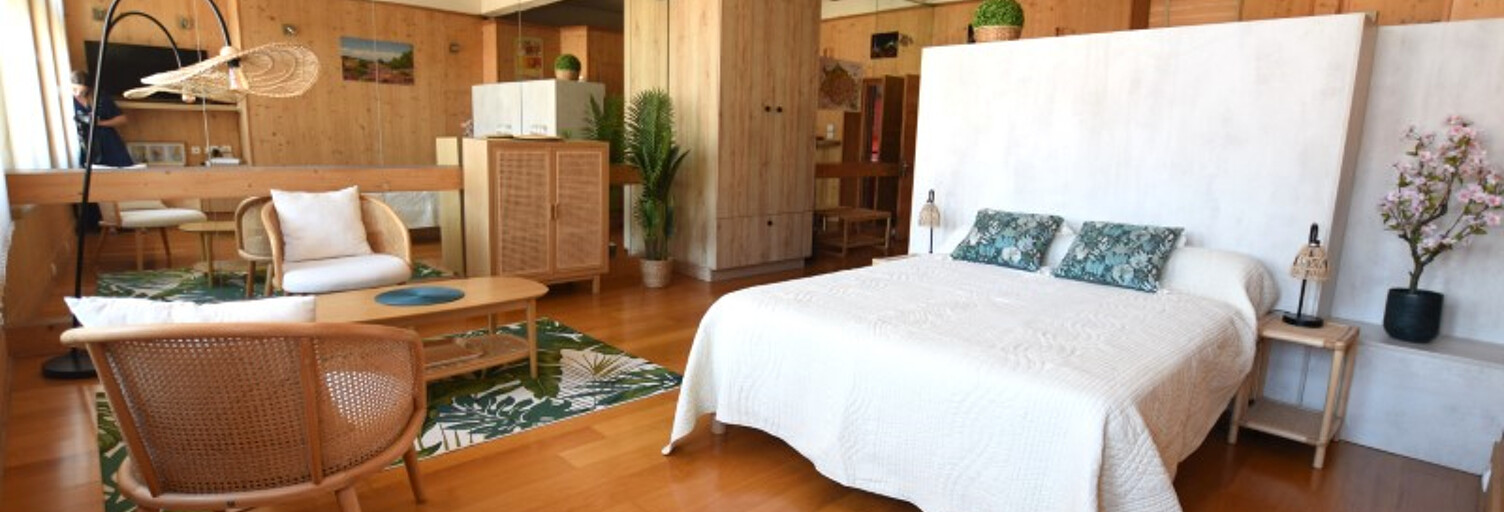 Appartement 1 Pièce 38 m² à louer à Le Puy-en-Velay (43000)