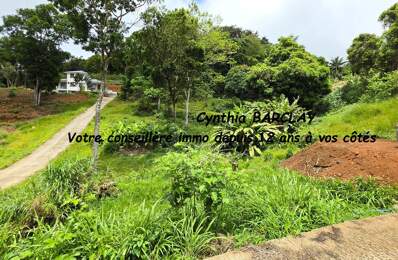 Terrain constructible — photo du bien