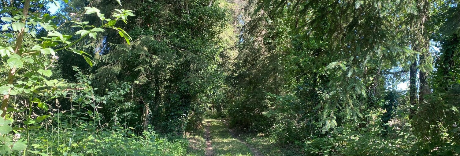 Terrain  5180 m² à vendre à Langon (35660)