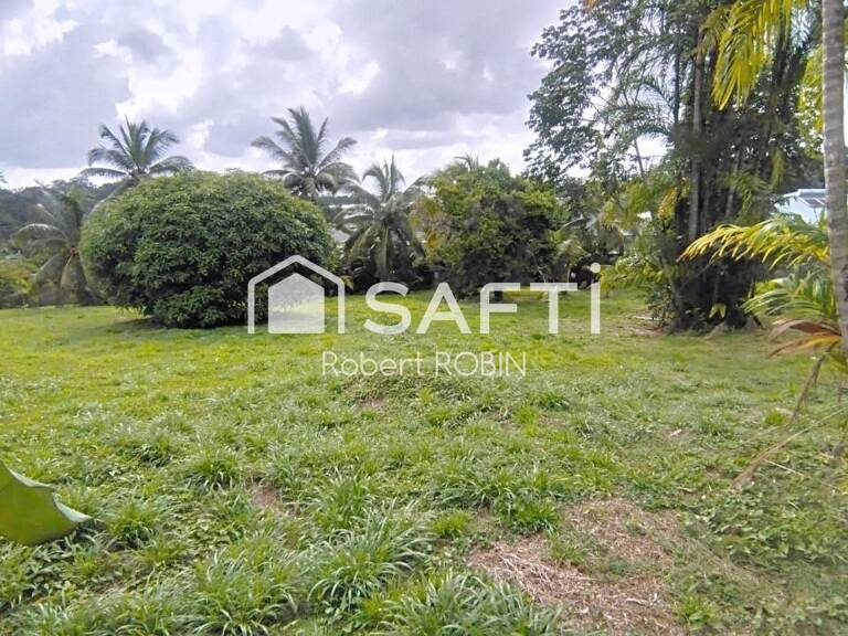 A vendre terrain à bâtir à PARAMANA MATOURY — photo 1