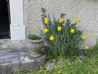 Maison de maître à fort potentiel ! — photo 3