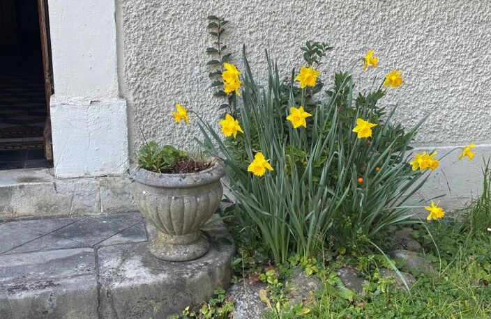 Maison de maître à fort potentiel ! — photo 3
