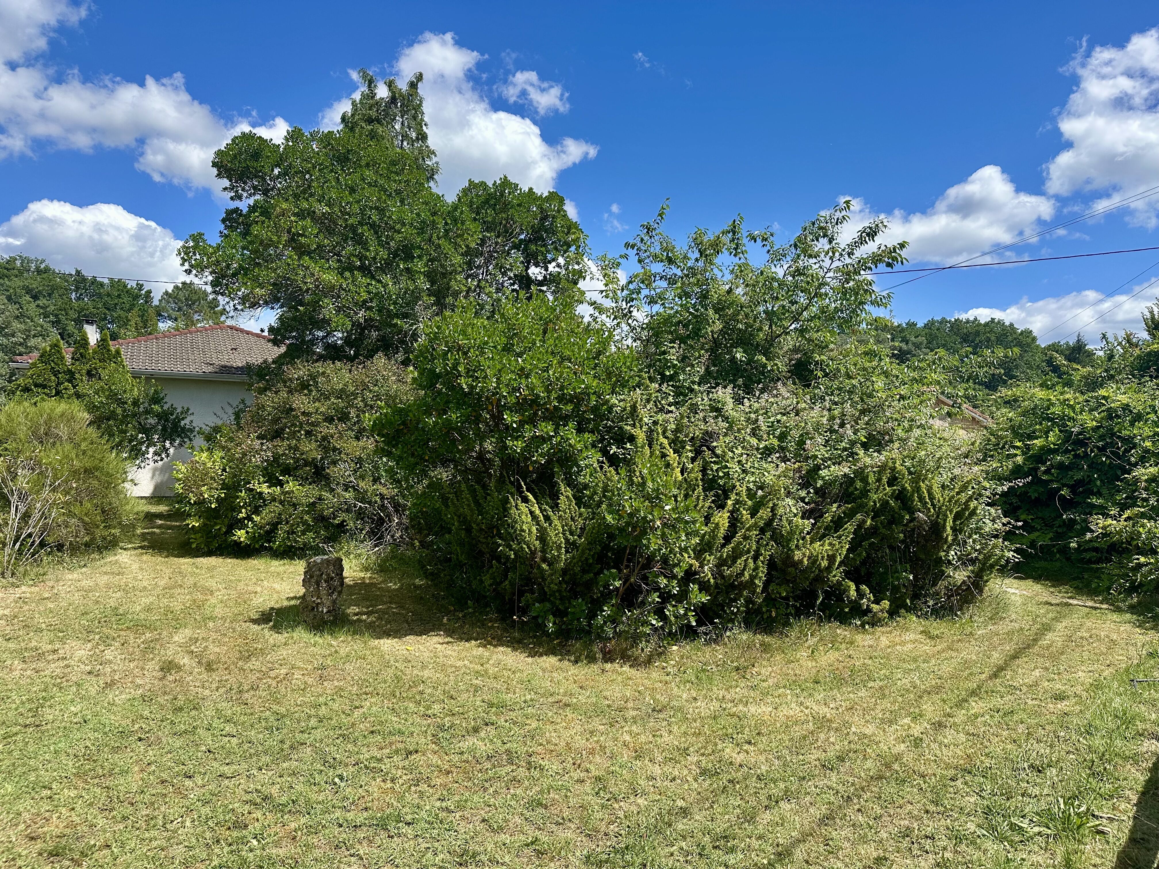 Terrain 350 m2 Centre