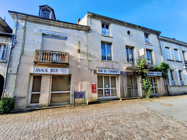 SAUMUR/CHINON — photo du bien