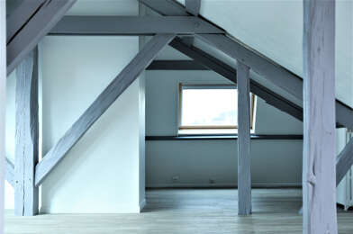 Appartement 2 pièces 710 €