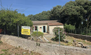 Maison 3 Pièces 68 m² à vendre à Boisseron (34160)
