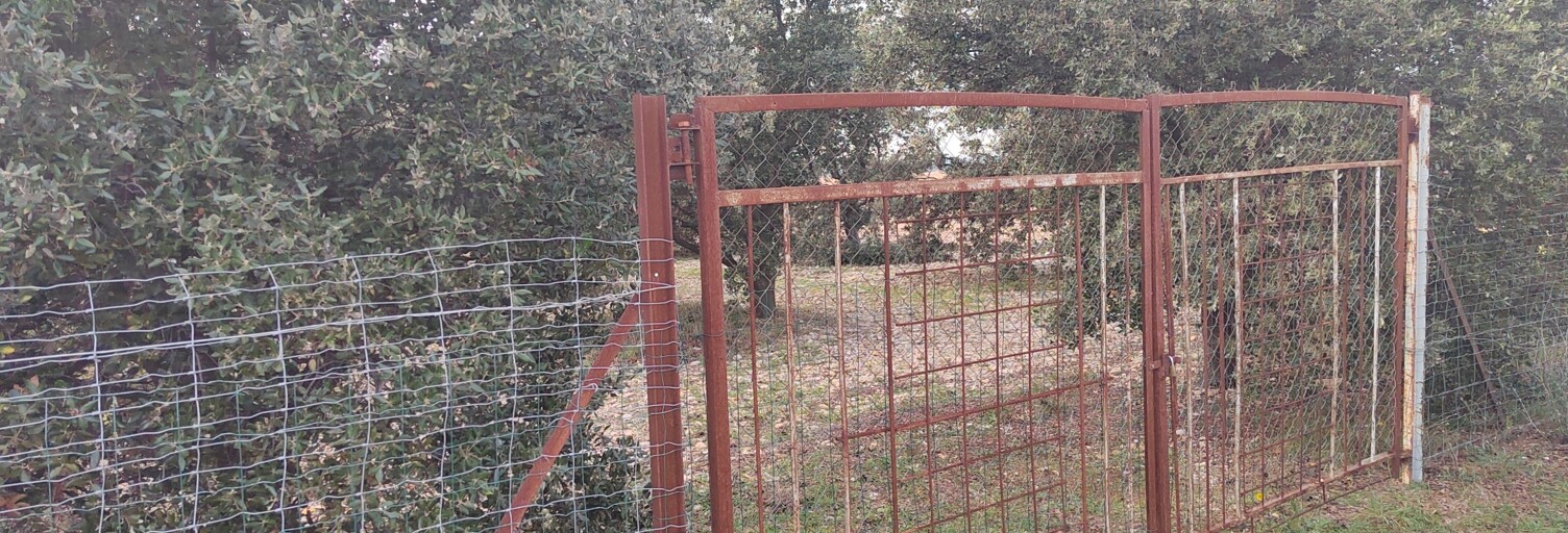 Terrain  2993 m² à vendre à Sainte-Cécile-les-Vignes (84290)