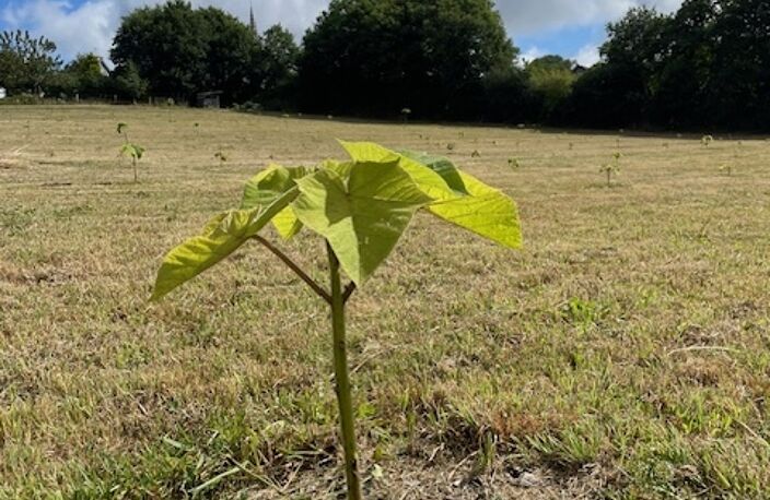 Vente Terrain agricole 7 497 m&sup2; — photo 3