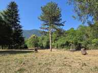 Vente Terrain 1 120 m&sup2; — photo 3