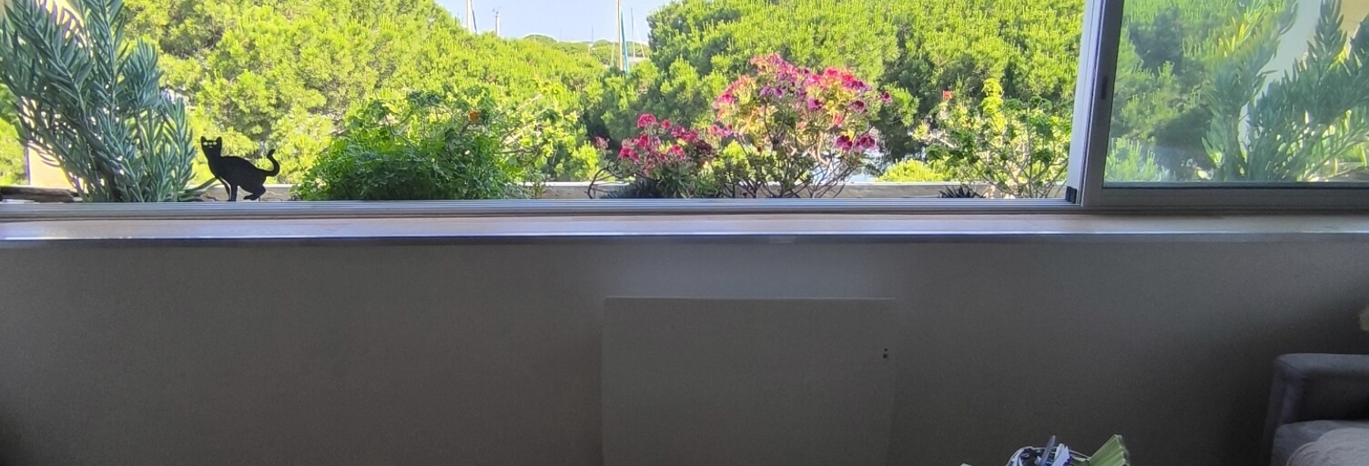 Photo N° 2