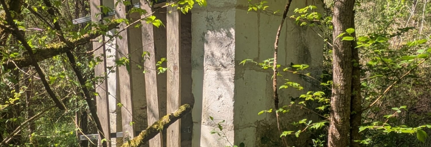 Photo N° 2