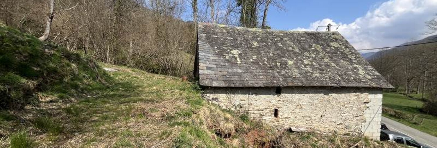 Maison 1 Pièce 109 m² à vendre à Sentein (09800)