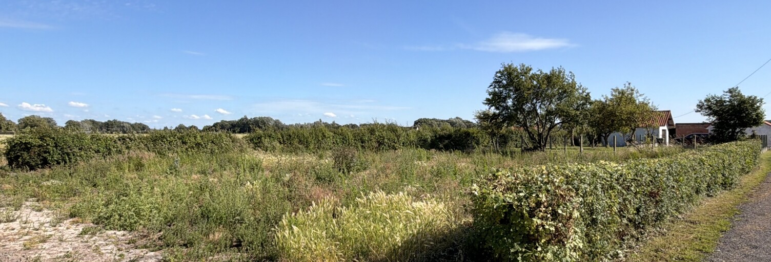 Terrain  631 m² à vendre à Looberghe (59630)