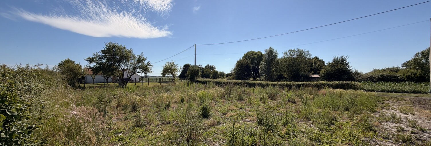 Terrain  631 m² à vendre à Looberghe (59630)