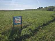 Vente Terrain 1 703 m&sup2; — photo 2