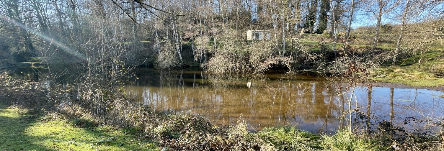 Terrain  10600 m² à vendre à Châteauponsac (87290)
