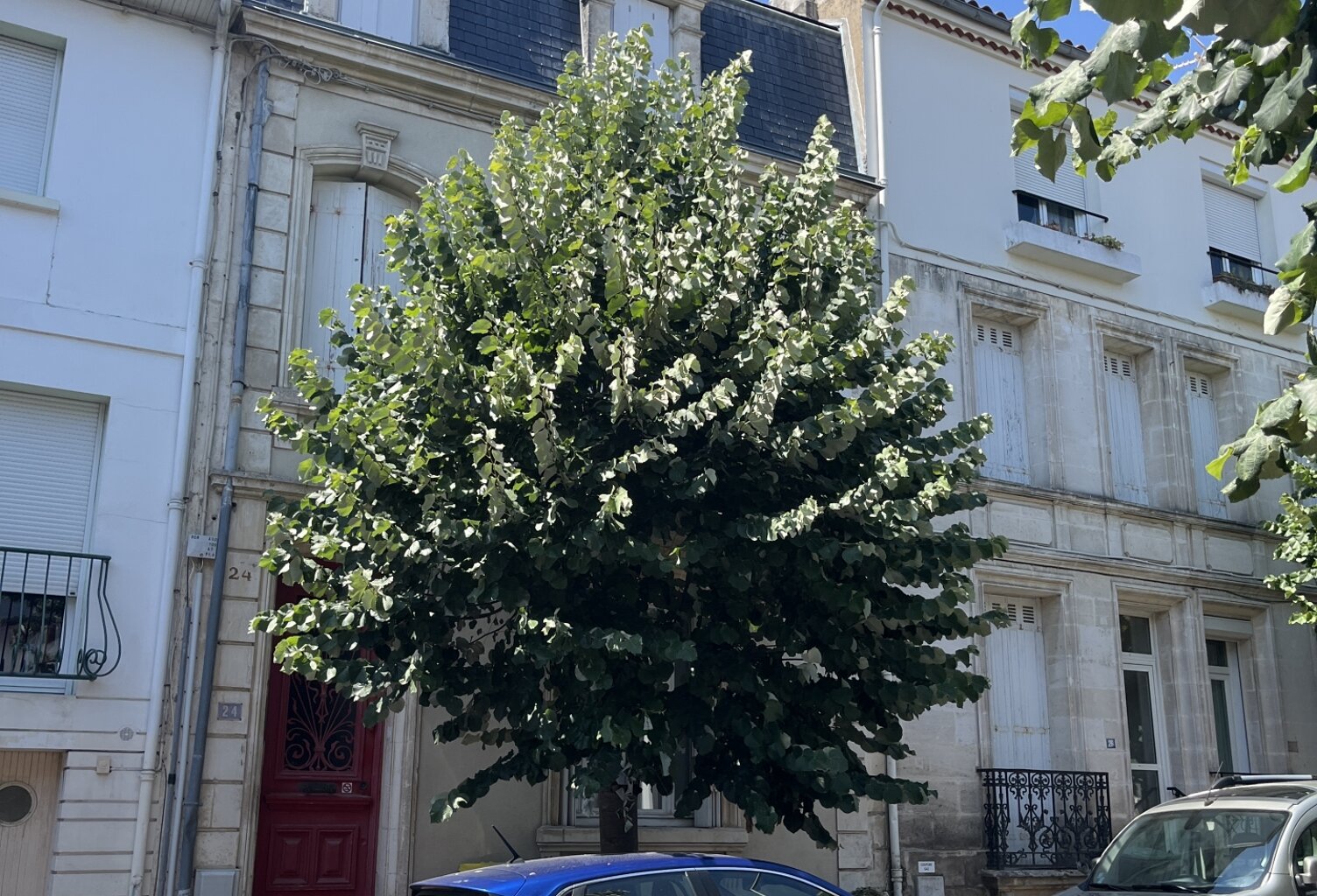 Vente Duplex 2 pièces — photo 1