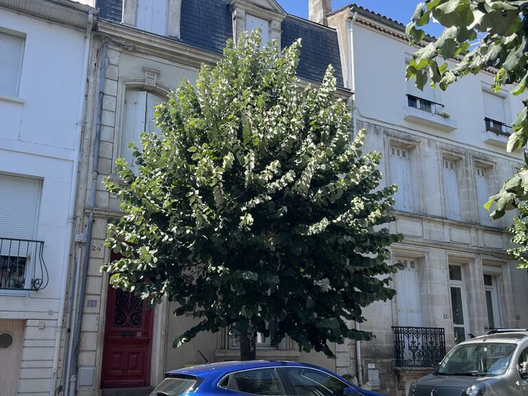 Vente Duplex 2 pièces — photo 1