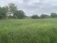 Projet de construction d'une maison 90 m² avec terrain à SAINT-PIERRE-DE-MONS (33) — photo 4