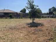 Terrain à bâtir de 613 m² à LE TEICH (33) — photo 2