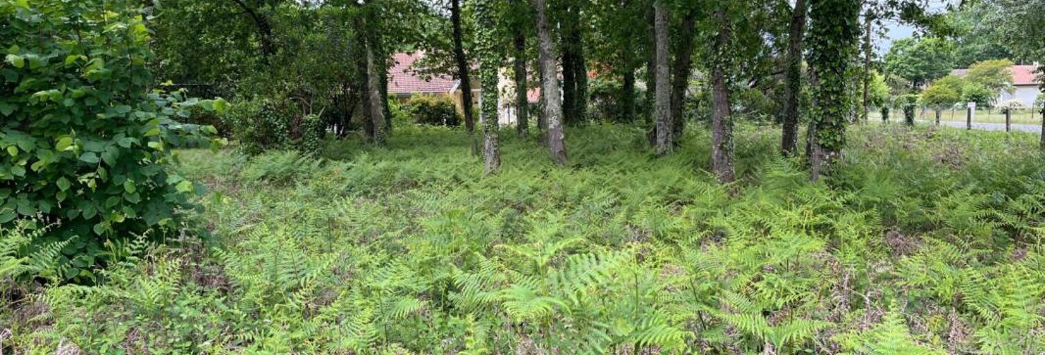 Terrain 434 m² à construire Andernos-les-Bains (33510)