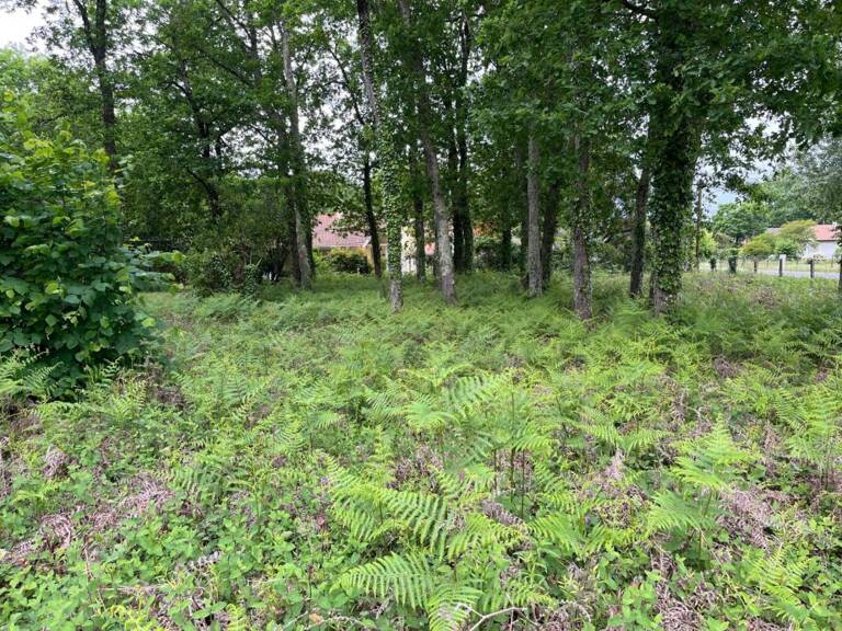 Terrain à bâtir de 434 m² à ANDERNOS-LES-BAINS (33) — photo 1