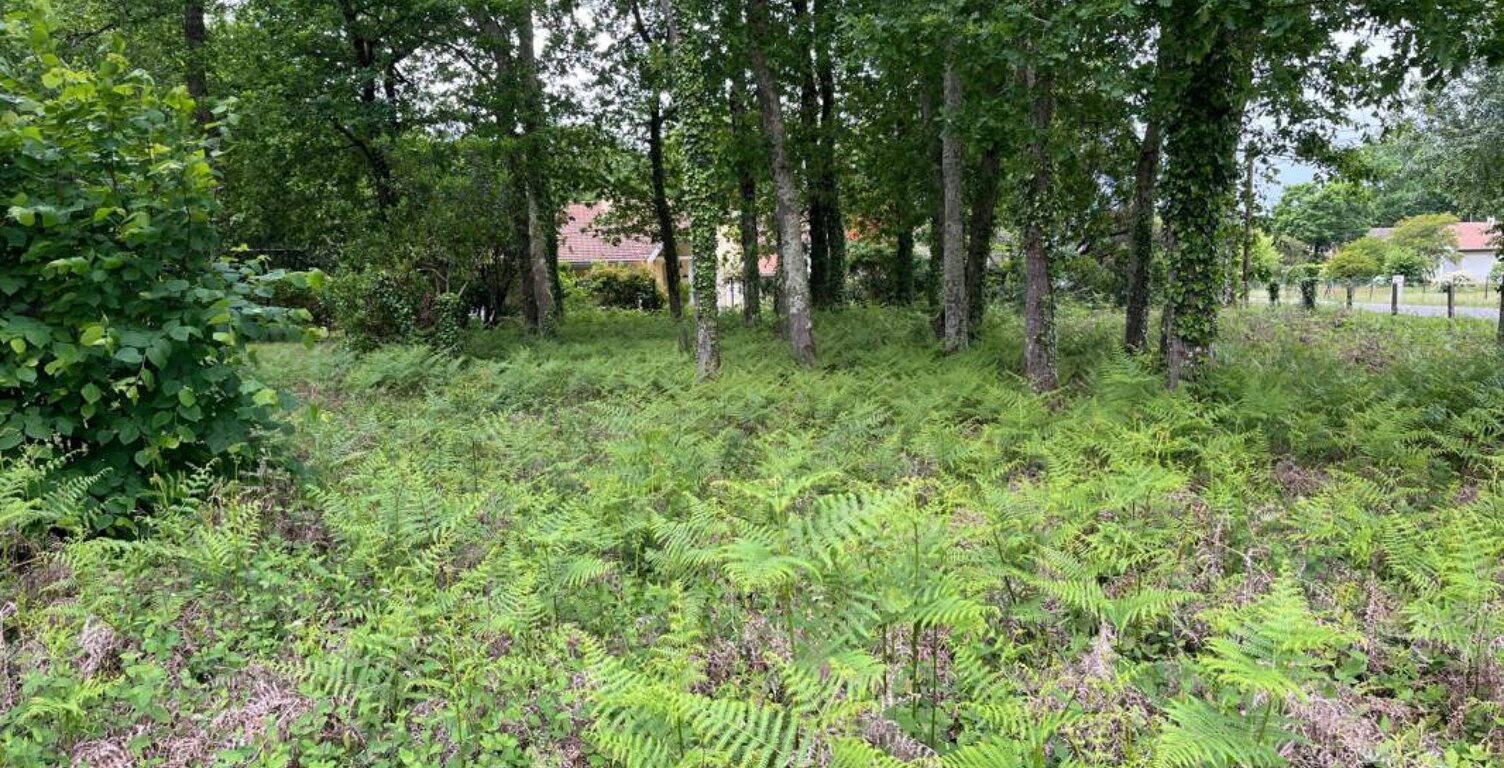 Terrain à bâtir de 434 m² à ANDERNOS-LES-BAINS (33) — photo 1