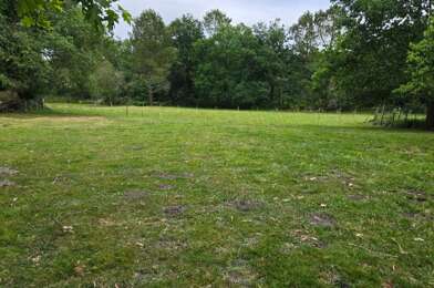 Terrain  55000 €