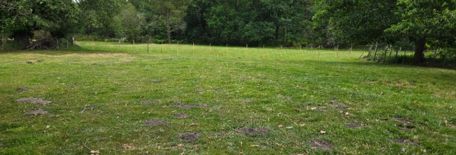 Terrain  1500 m² à vendre à Saint-Savin (33920)