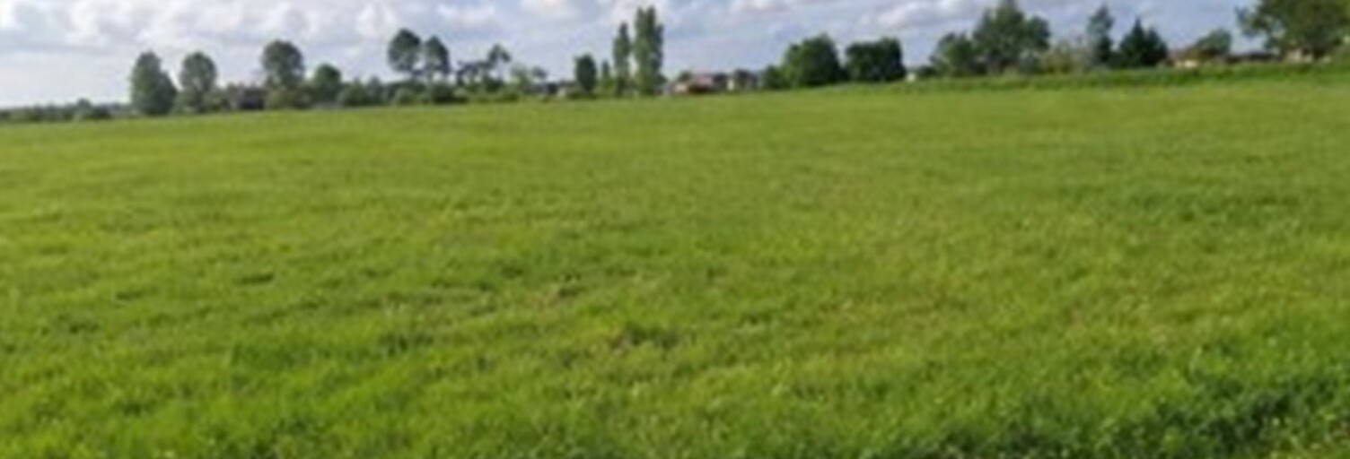 Terrain  453 m² à vendre à La Lande-de-Fronsac (33240)