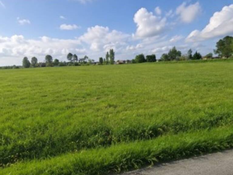 Terrain à bâtir à La Lande-de-Fronsac (33240) — photo 1
