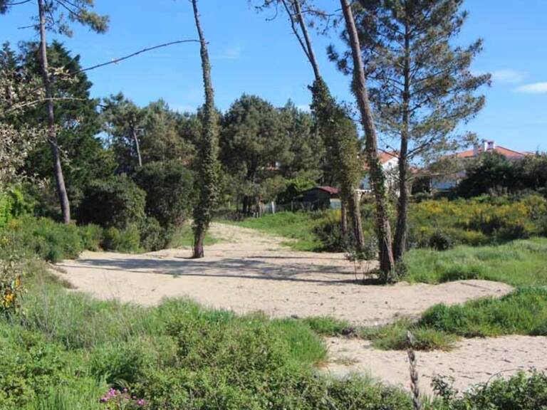 Terrain à bâtir de 450 m² à SAINT-MEDARD-EN-JALLES (33) — photo 1