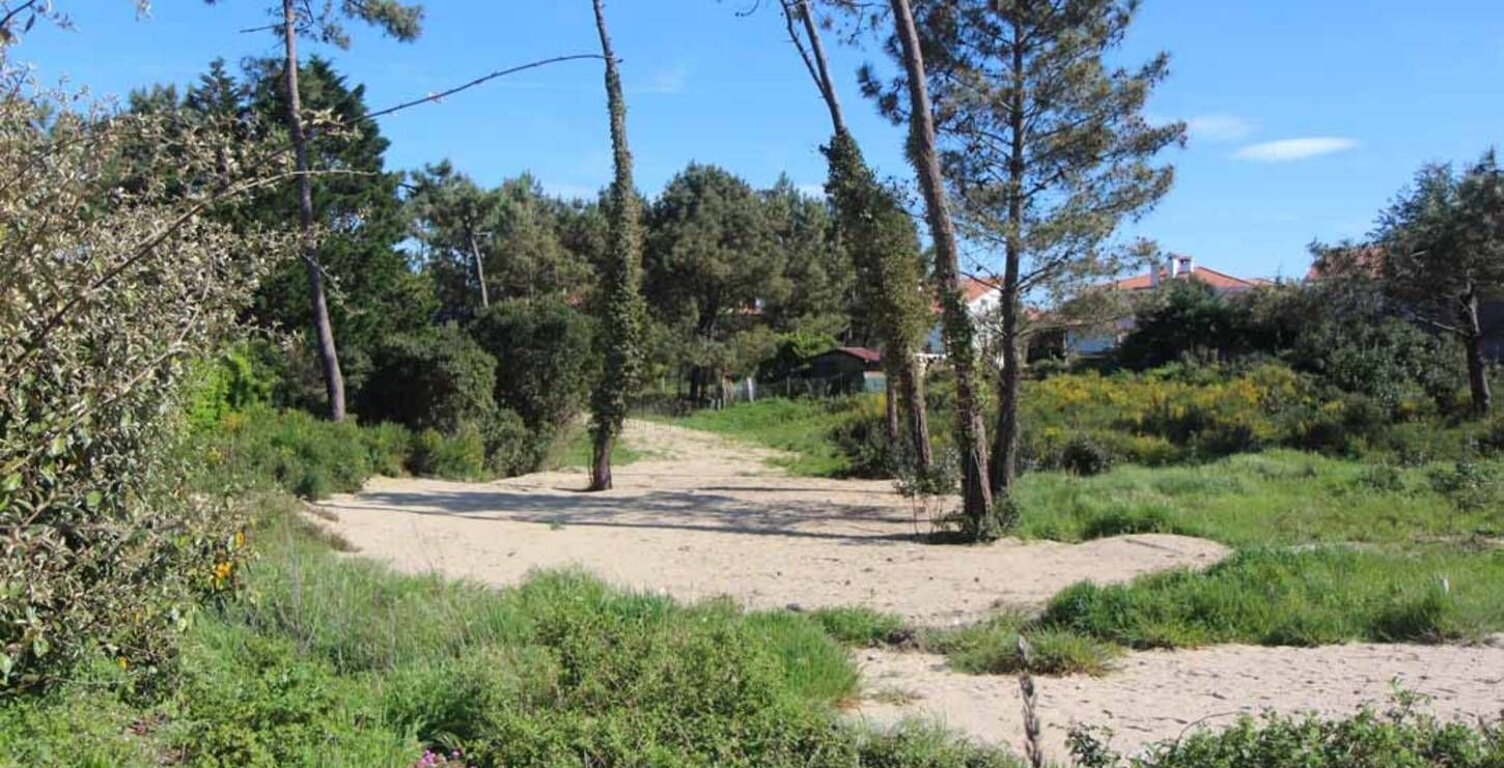 Terrain à bâtir de 450 m² à SAINT-MEDARD-EN-JALLES (33) — photo 1