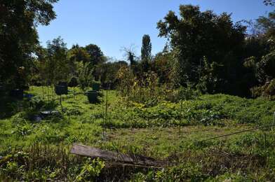 Terrain  49000 €
