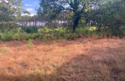 Terrain à bâtir de 500 m² à SALLES (33) — photo du bien