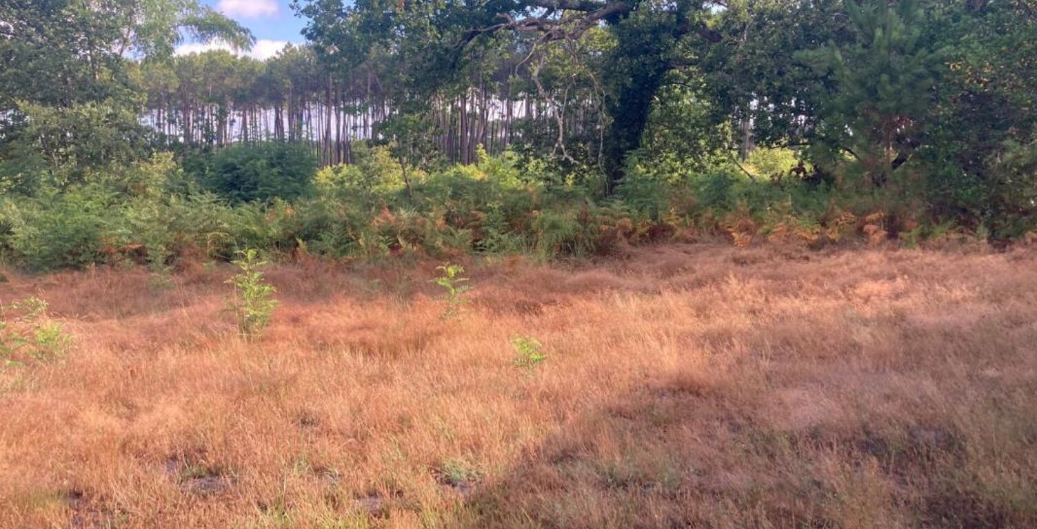 Terrain à bâtir de 500 m² à SALLES (33) — photo 1