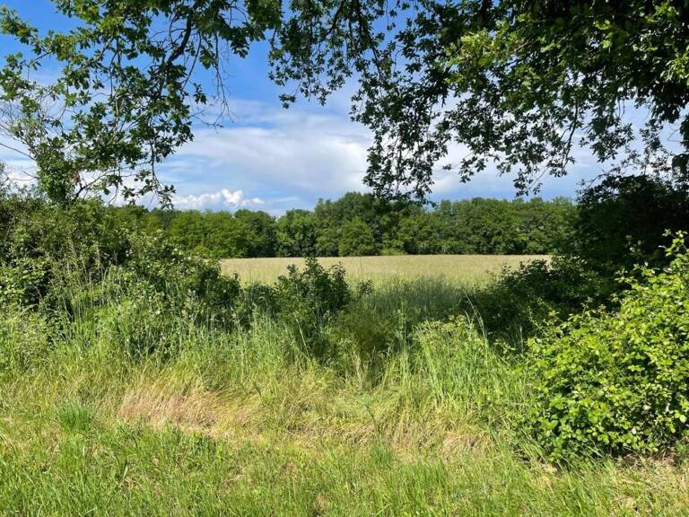 Terrain à bâtir de 1002 m² à LE VERDON-SUR-MER (33) — photo 1
