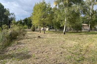 Terrain  71000 €