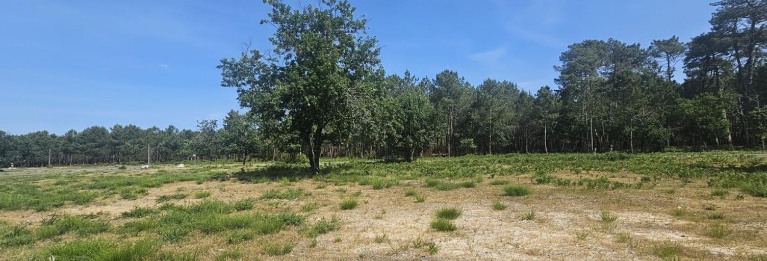 Terrain 1144 m² à construire Vendays-Montalivet (33930)