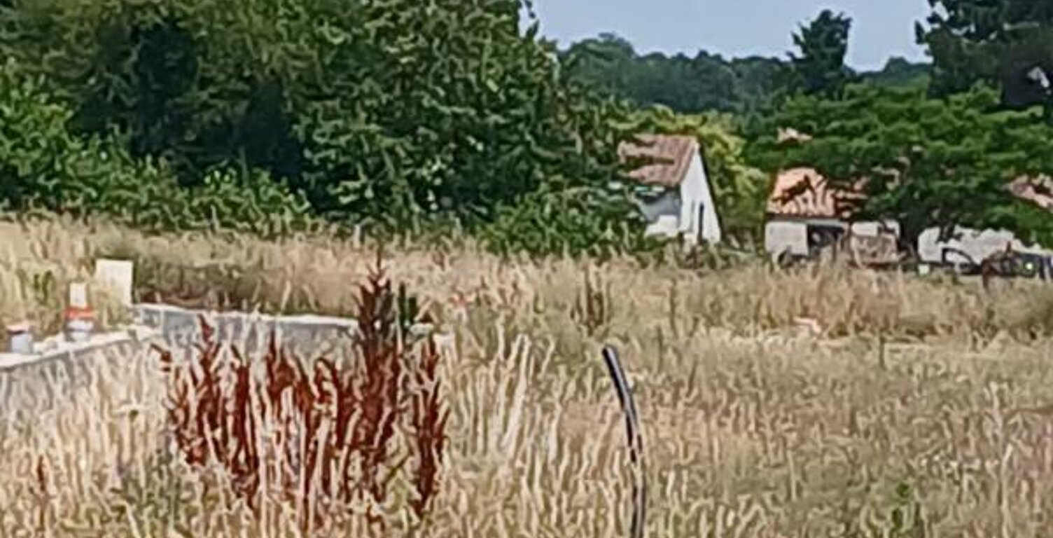 Terrain à bâtir de 441 m² à SAINTES (17) — photo 1