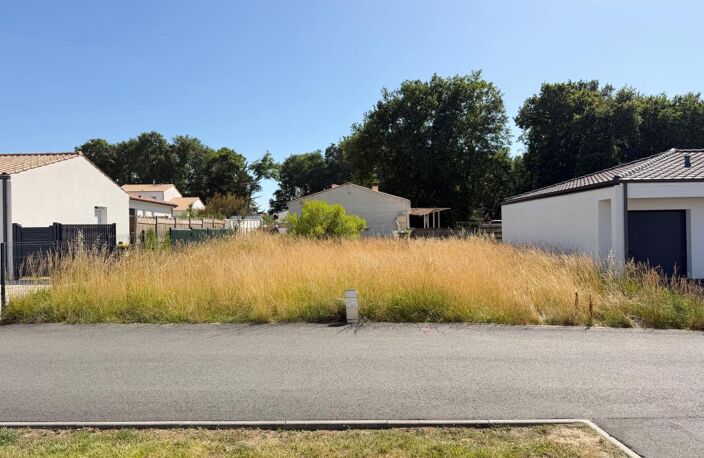 Beau Terrain — photo 2