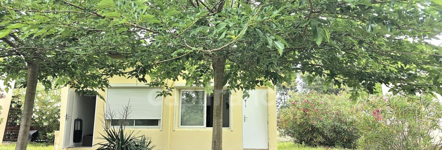 Maison 2 Pièces 31 m² à vendre à Castellare-di-Casinca (20213)