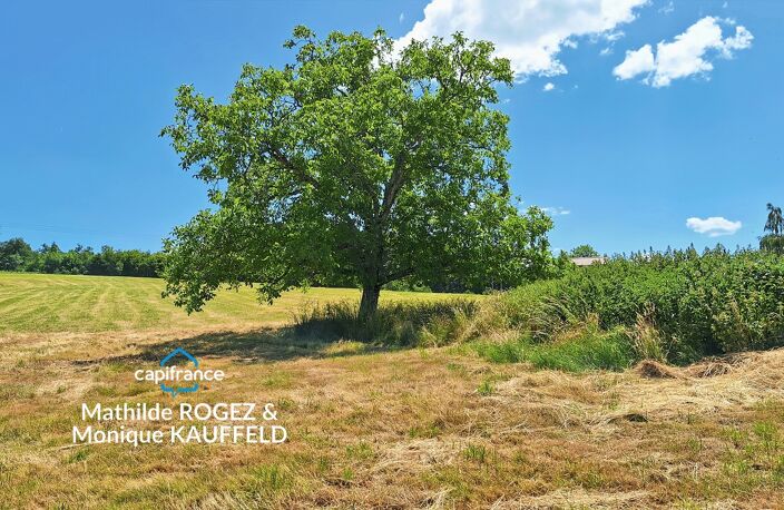 Maison à rénover avec grange en pierre, source et 7 000 m² de terrain - Saint Gervais Sous Meymont (63) — photo 3
