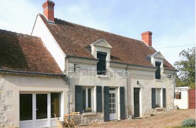 Noyers-sur-Cher (Loir-et-Cher), à vendre LONGERE 11 pièces de 232 m² — photo du bien