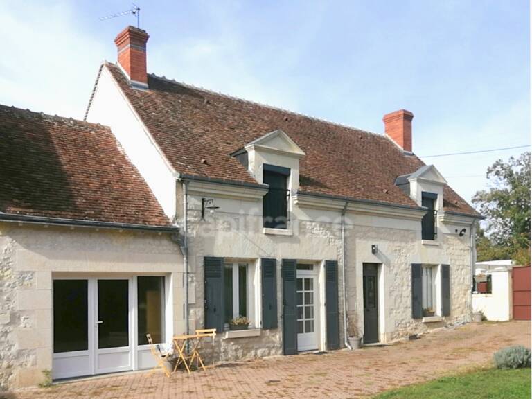 Noyers-sur-Cher (Loir-et-Cher), à vendre LONGERE 11 pièces de 232 m² — photo 1
