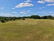 Lot de parcelles agricoles - 6,2 hectares (62 000 m²) - SOMMIERES (GARD) — photo 2