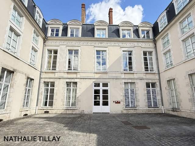 ORLÉANS – APPARTEMENT D’EXCEPTION AU SEIN D’UN HÔTEL PARTICULIER — photo du bien