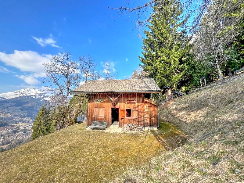 Photo Chalet de 3 pièces Montriond